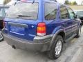 2006 Sonic Blue Metallic Ford Escape XLT V6 4WD  photo #2