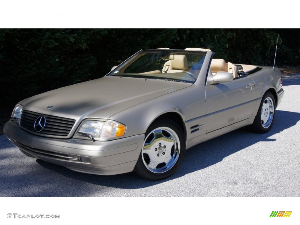 1999 SL 500 Roadster - Smoke Silver Metallic / Java photo #7