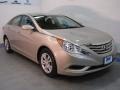 Camel Pearl - Sonata GLS Photo No. 1