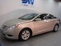Camel Pearl - Sonata GLS Photo No. 2