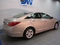 Camel Pearl - Sonata GLS Photo No. 4