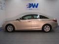 Camel Pearl - Sonata GLS Photo No. 5