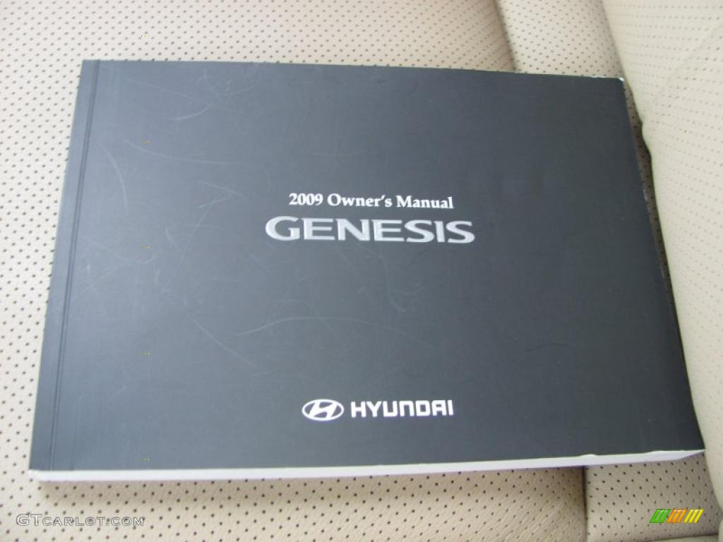 2009 Genesis 3.8 Sedan - Platinum Metallic / Beige photo #4