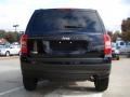 Blackberry Pearl - Patriot Sport Photo No. 4