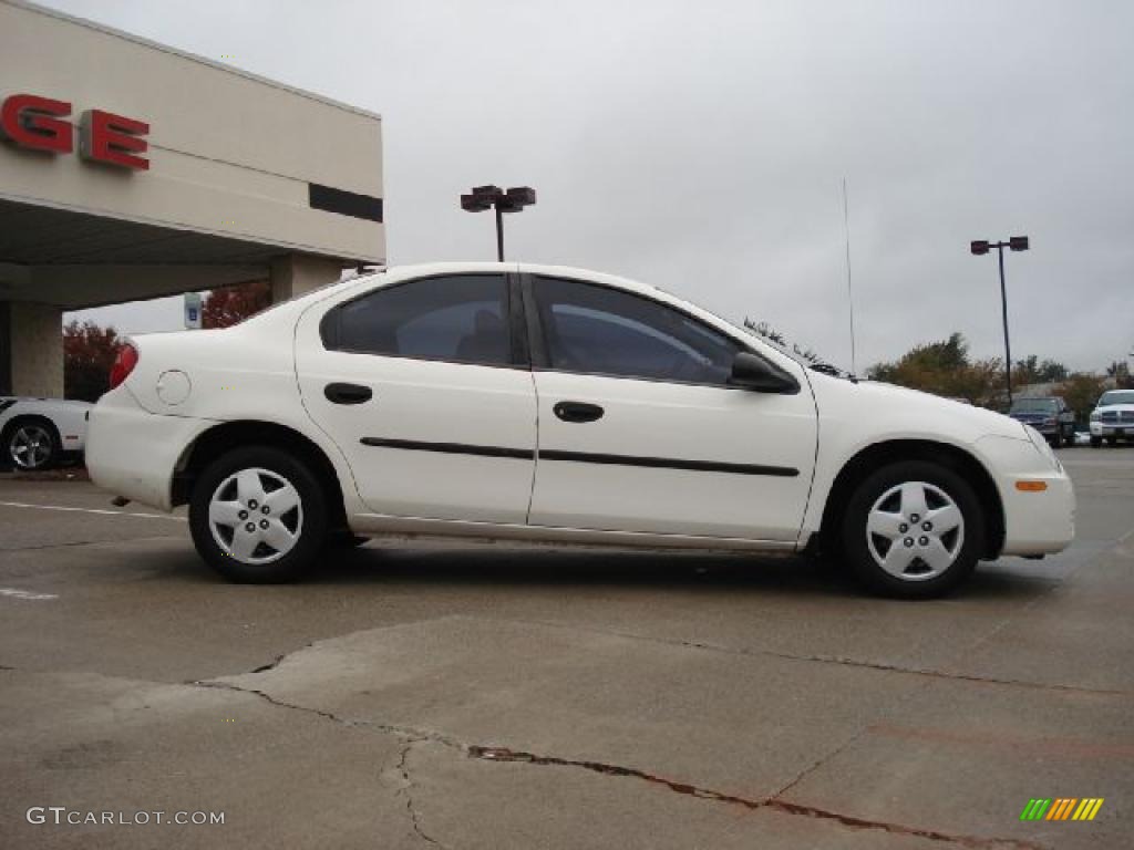 2004 Neon SE - Stone White / Dark Slate Gray photo #2