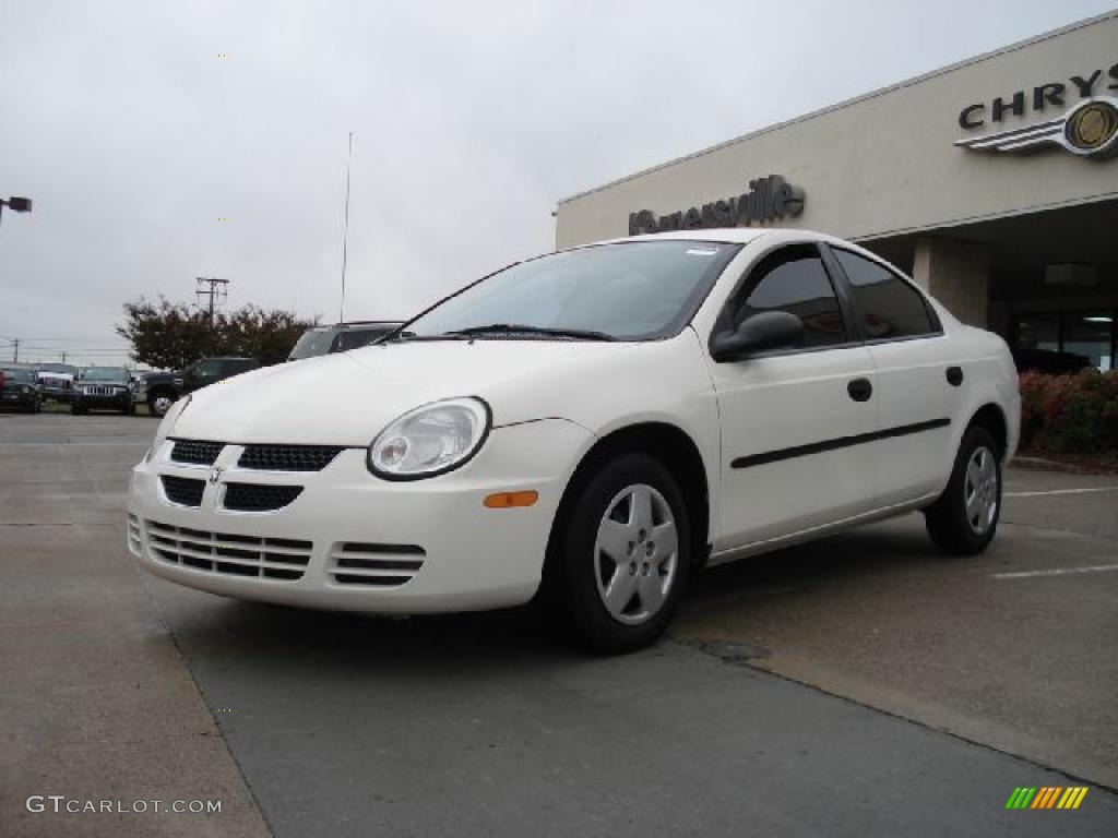 2004 Neon SE - Stone White / Dark Slate Gray photo #7