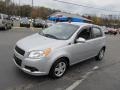 Cosmic Silver 2009 Chevrolet Aveo Aveo5 LS Exterior