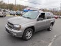 Graystone Metallic - TrailBlazer LT 4x4 Photo No. 5