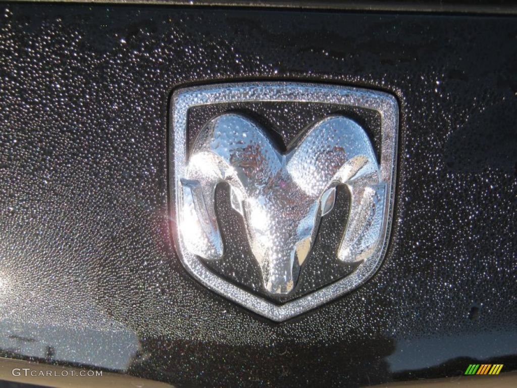 2010 Dodge Challenger R/T Marks and Logos Photo #39009575