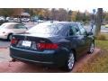 Carbon Gray Pearl - TSX Sedan Photo No. 5