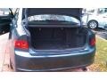 Carbon Gray Pearl - TSX Sedan Photo No. 24