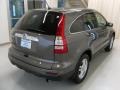 2010 Urban Titanium Metallic Honda CR-V EX  photo #4