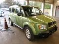 Kiwi Metallic - Element EX-P AWD Photo No. 3