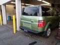 2006 Kiwi Metallic Honda Element EX-P AWD  photo #5