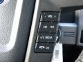 Black Controls Photo for 2010 Ford F150 #39020039
