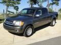 Phantom Gray Pearl 2004 Toyota Tundra SR5 Double Cab Exterior