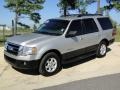 Silver Birch Metallic 2007 Ford Expedition XLT Exterior