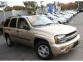 2005 Sandstone Metallic Chevrolet TrailBlazer LS 4x4  photo #3