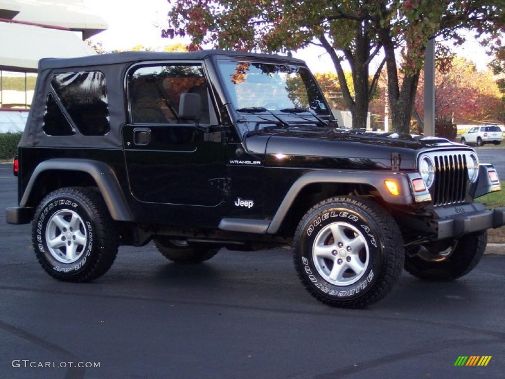 2002 Wrangler SE 4x4 - Black / Agate Black photo #4