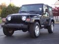 Black 2002 Jeep Wrangler SE 4x4 Exterior