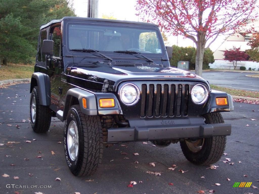 2002 Wrangler SE 4x4 - Black / Agate Black photo #15