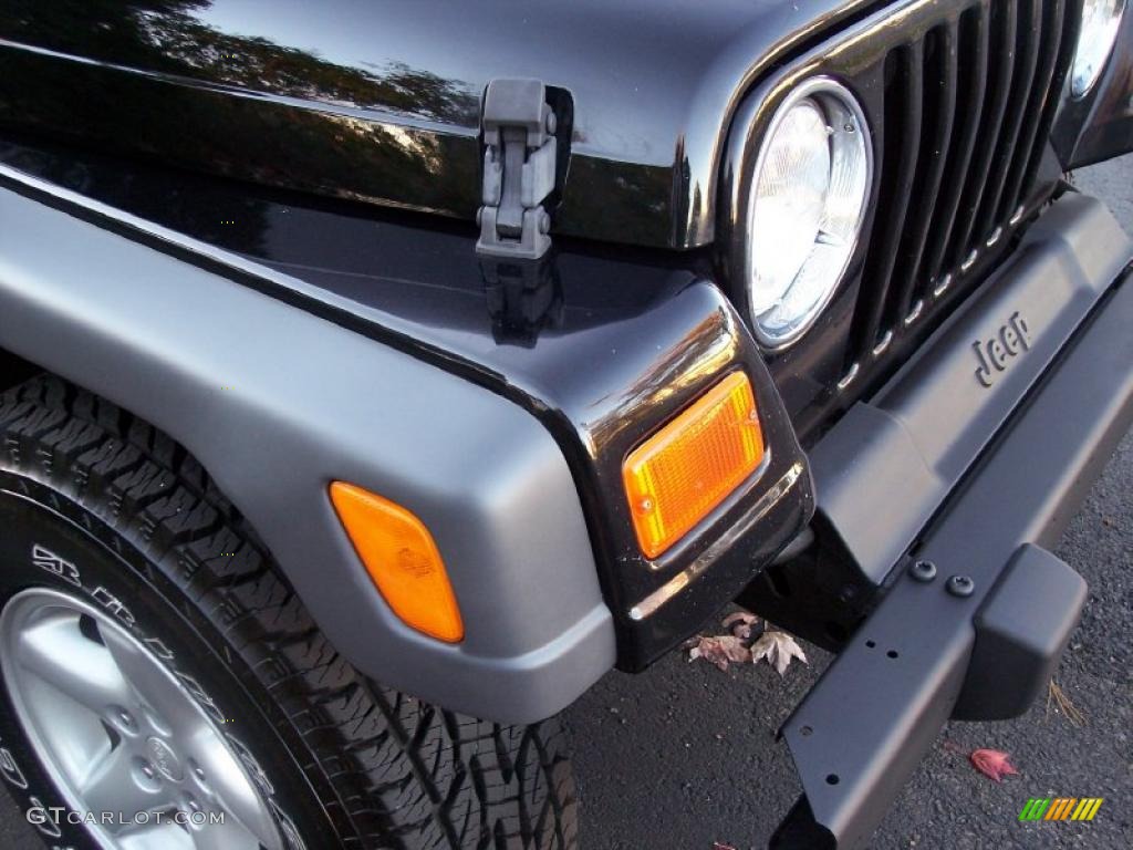 2002 Wrangler SE 4x4 - Black / Agate Black photo #26