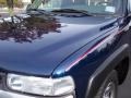 2000 Indigo Blue Metallic Chevrolet Silverado 1500 Regular Cab  photo #22