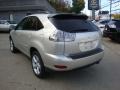 Millennium Silver Metallic - RX 350 AWD Photo No. 4