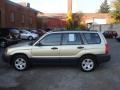 2004 Sierra Gold Metallic Subaru Forester 2.5 X  photo #2