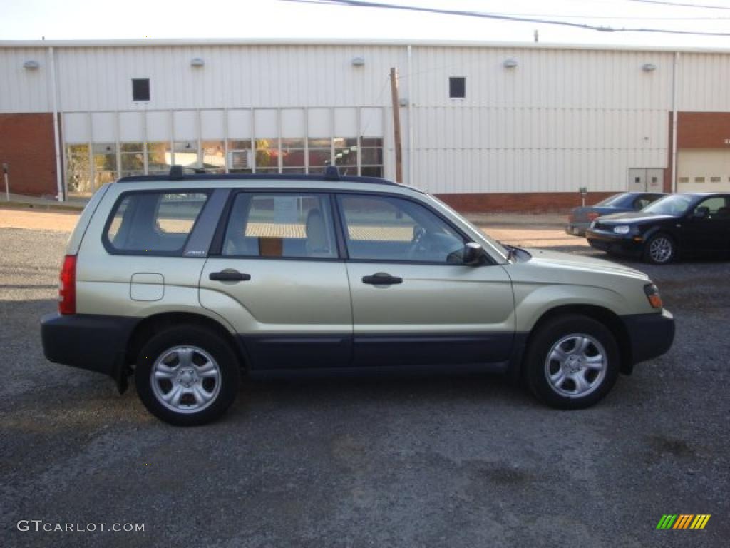 Sierra Gold Metallic 2004 Subaru Forester 2.5 X Exterior Photo #39048316