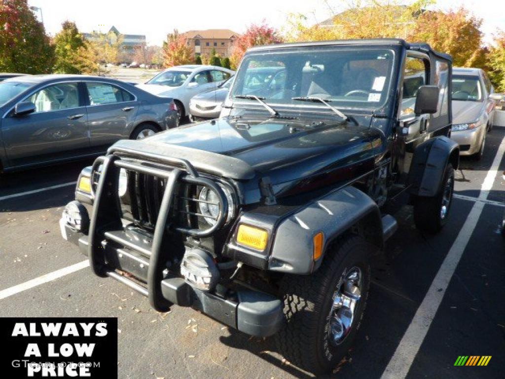 2002 Wrangler X 4x4 - Black / Agate Black photo #3