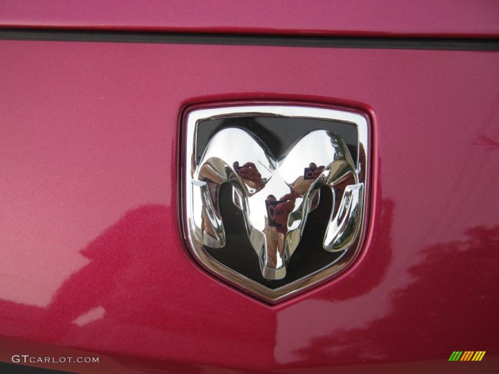 2010 Dodge Challenger R/T Classic Furious Fuchsia Edition Marks and Logos Photo #39064463