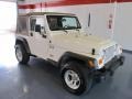 Stone White 2002 Jeep Wrangler X 4x4 Exterior