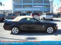 2009 Black Ford Mustang GT Premium Convertible  photo #1