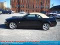 2009 Black Ford Mustang GT Premium Convertible  photo #5