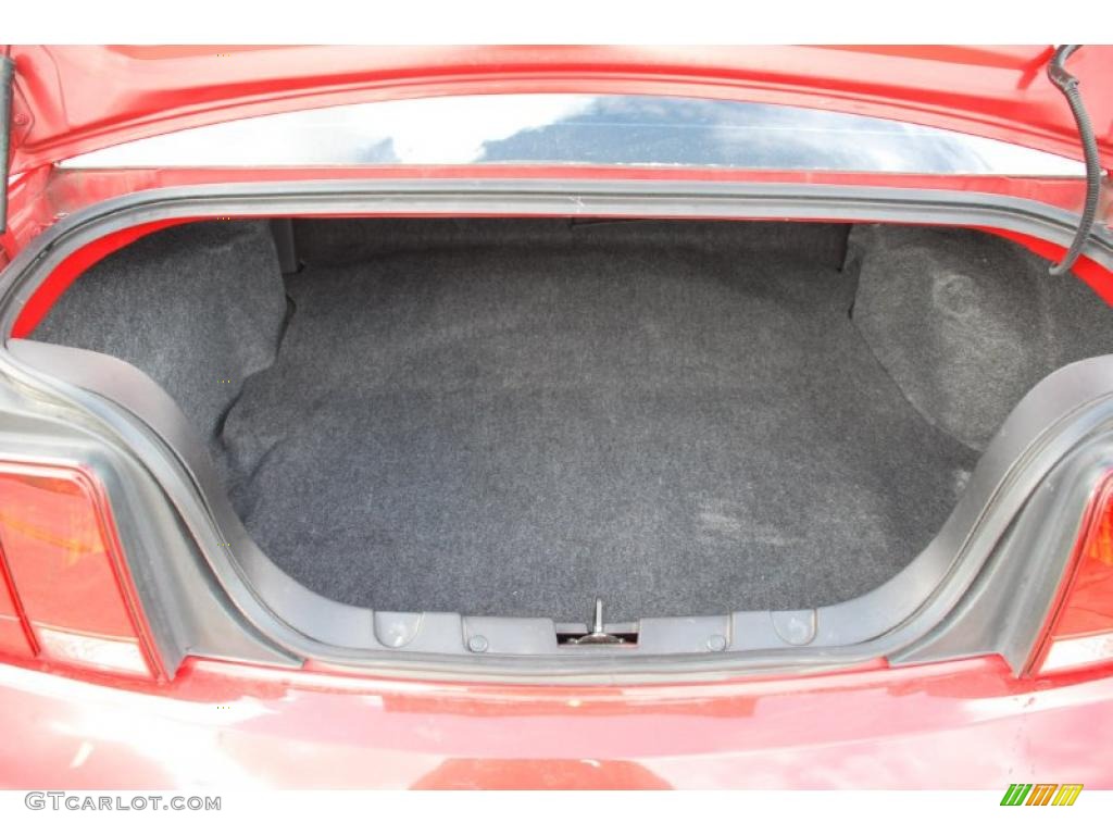 2008 Ford Mustang GT Premium Coupe Trunk Photo #39071207