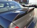 Thunder Gray Metallic - Lancer OZ Rally Photo No. 25