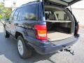 2004 Midnight Blue Pearl Jeep Grand Cherokee Limited 4x4  photo #9