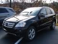 Black - ML 350 4Matic Photo No. 1