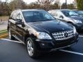 Black - ML 350 4Matic Photo No. 3