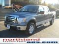 2010 Sterling Grey Metallic Ford F150 XLT SuperCrew 4x4  photo #2