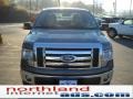 2010 Sterling Grey Metallic Ford F150 XLT SuperCrew 4x4  photo #3