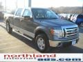 2010 Sterling Grey Metallic Ford F150 XLT SuperCrew 4x4  photo #4
