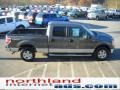 2010 Sterling Grey Metallic Ford F150 XLT SuperCrew 4x4  photo #5