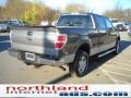 2010 Sterling Grey Metallic Ford F150 XLT SuperCrew 4x4  photo #6