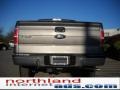 2010 Sterling Grey Metallic Ford F150 XLT SuperCrew 4x4  photo #7