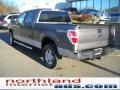 2010 Sterling Grey Metallic Ford F150 XLT SuperCrew 4x4  photo #8