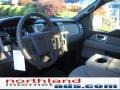 2010 Sterling Grey Metallic Ford F150 XLT SuperCrew 4x4  photo #10