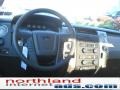 2010 Sterling Grey Metallic Ford F150 XLT SuperCrew 4x4  photo #14