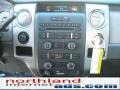2010 Sterling Grey Metallic Ford F150 XLT SuperCrew 4x4  photo #17